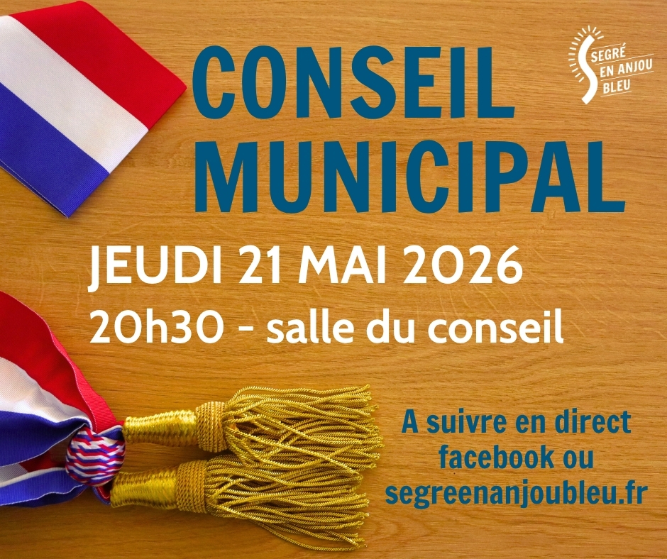 Conseil municipal en direct